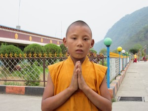 Young Monk